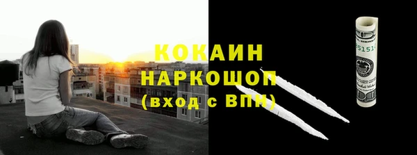 прущие грибы Ладушкин