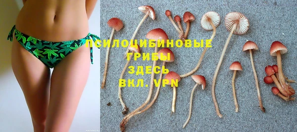 дживик Липки