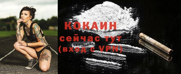 прущие крисы Лабытнанги