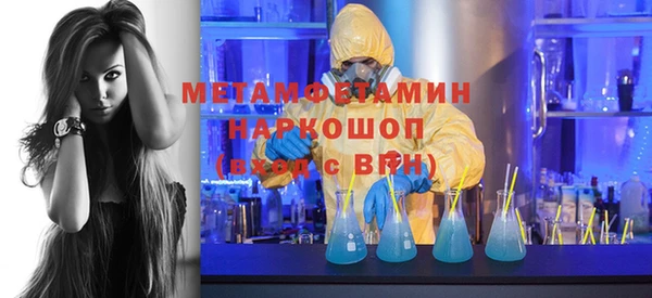 прущие грибы Ладушкин