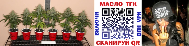 ТГК концентрат  Купить где  Ермолино 
