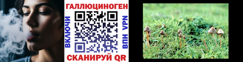 Галлюциногенные грибы мицелий  Купить где  Ермолино 